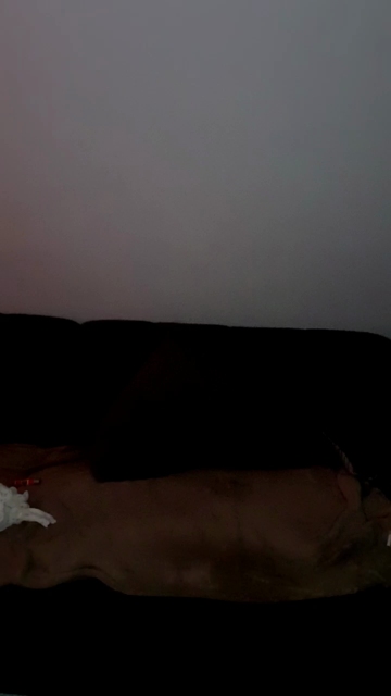 KimiCover 19-12-2021 XXX 